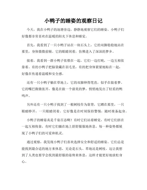 小学三年级作文小鸭子的睡姿的观察日记