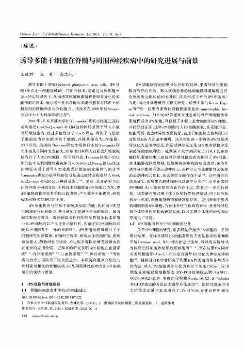 诱导多能干细胞在脊髓与周围神经疾病中的研究进展与前景