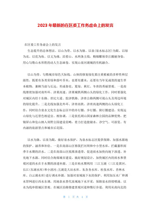 2023年最新的在区委工作务虚会上的发言