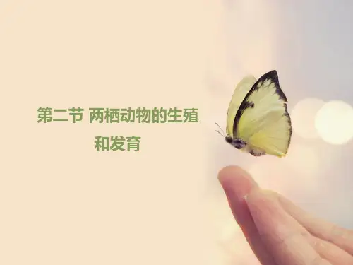 《两栖动物的生殖和发育》优教课件(共23张PPT)