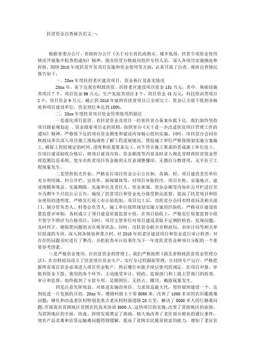扶贫资金自查报告