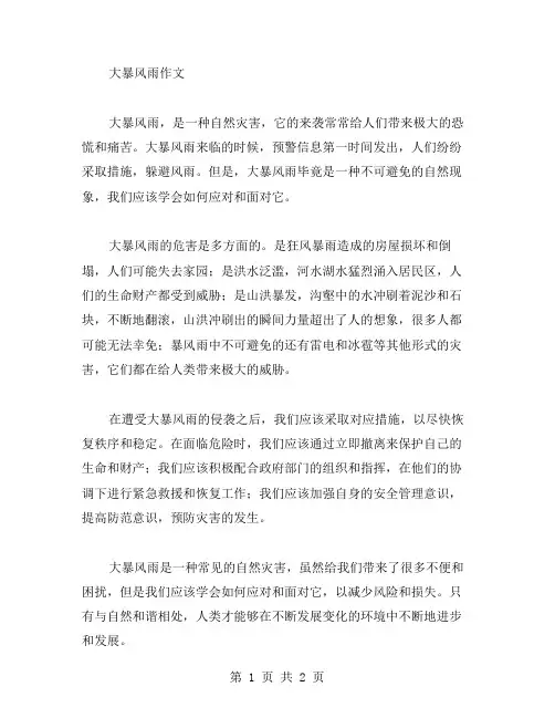 大暴风雨作文范文