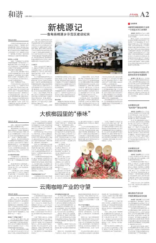 新桃源记 - 头版 民族时报