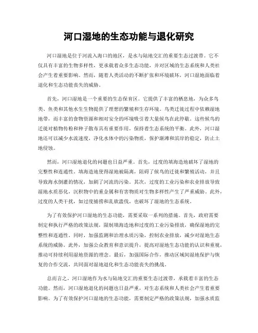 河口湿地的生态功能与退化研究