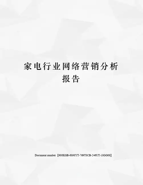 家电行业网络营销分析报告
