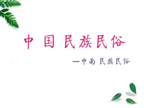 中南少数民族-丁姣