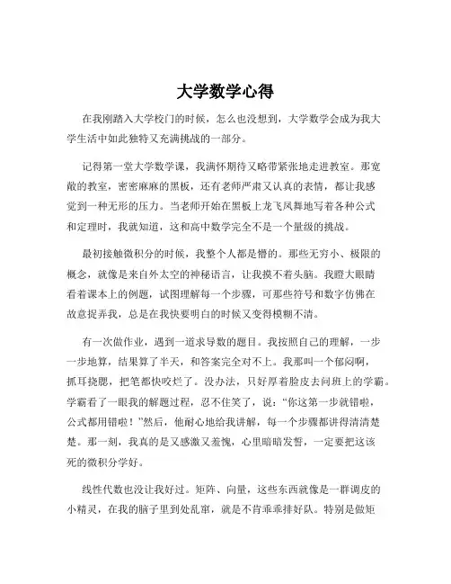 大学数学心得