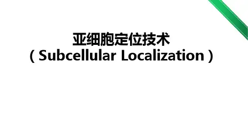 亚细胞定位