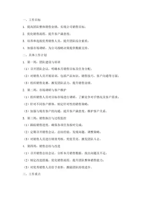 销售总监一个月工作计划