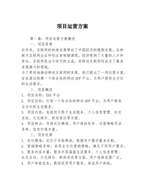 项目运营方案
