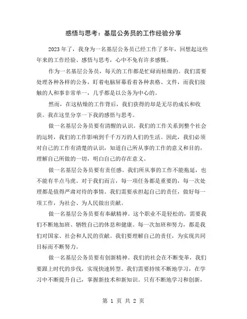 感悟与思考：基层公务员的工作经验分享