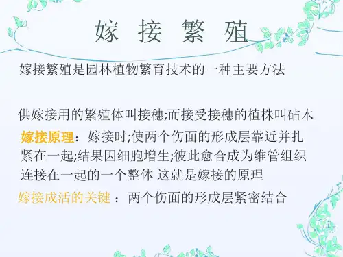 园林植物嫁接技术