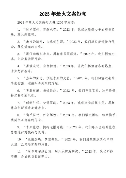 2023年最火文案短句