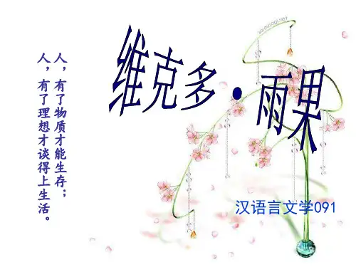 雨果全部
