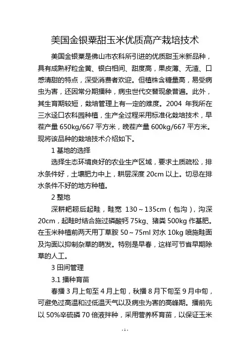 美国金银粟甜玉米优质高产栽培技术
