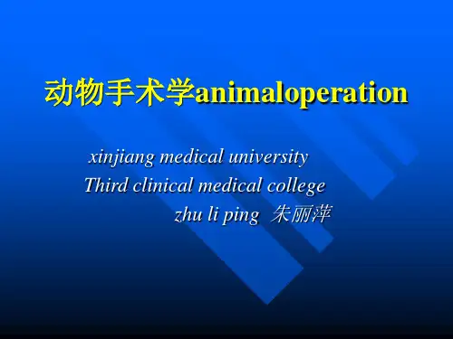 动物手术