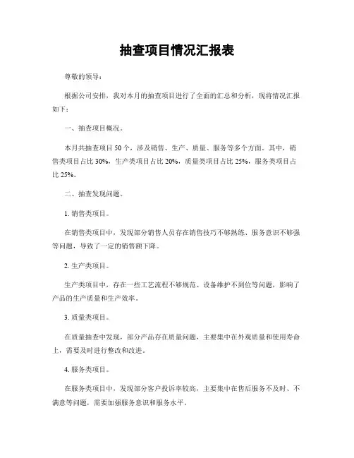 抽查项目情况汇报表