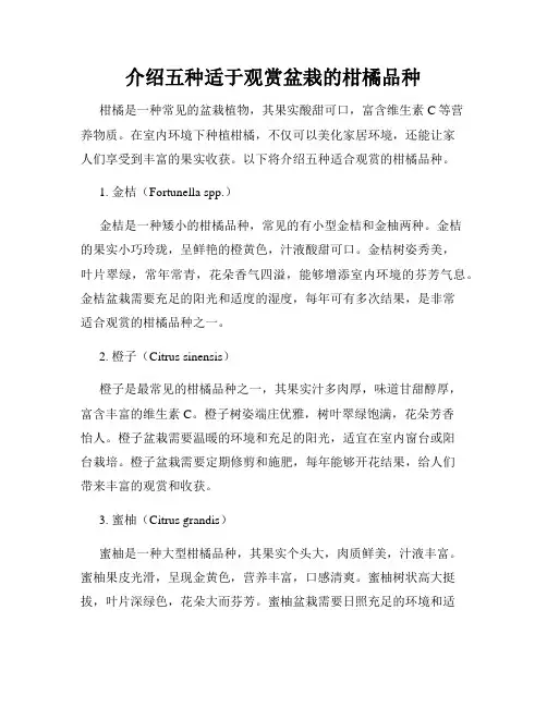 介绍五种适于观赏盆栽的柑橘品种