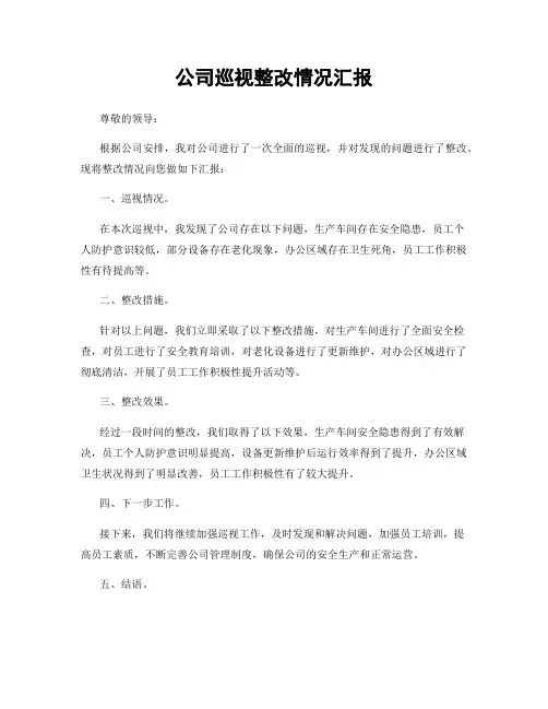 公司巡视整改情况汇报