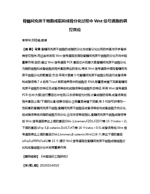 骨髓间充质干细胞成脂和成骨分化过程中Wnt信号通路的调控效应