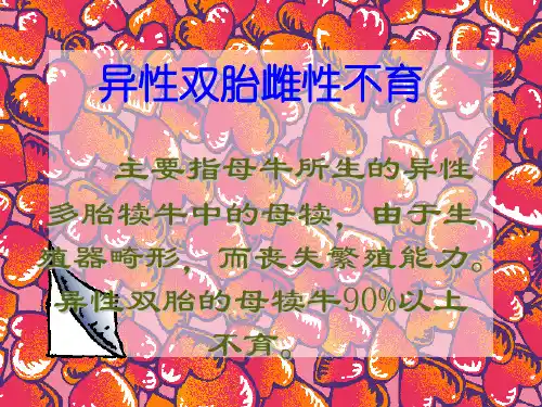 异性双胎雌性不育