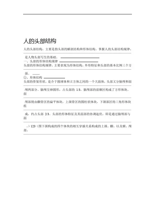 人的头部结构