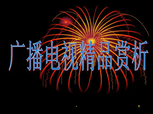 广播电视节目精品赏析PPT课件