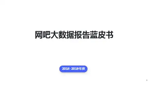 2018-2019年度网吧大数据报告