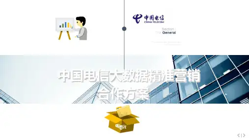 汽车类大数据精准营销合作方案+ppt课件