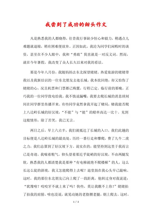 成功的甜头作文500字