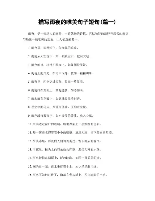 描写雨夜的唯美句子短句(精选两篇)