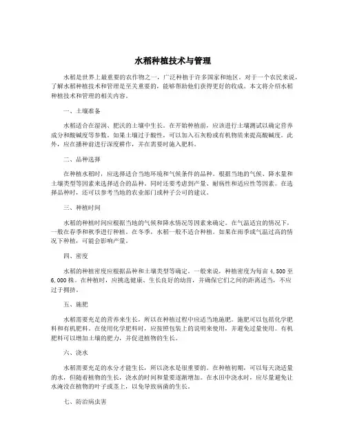 水稻种植技术与管理