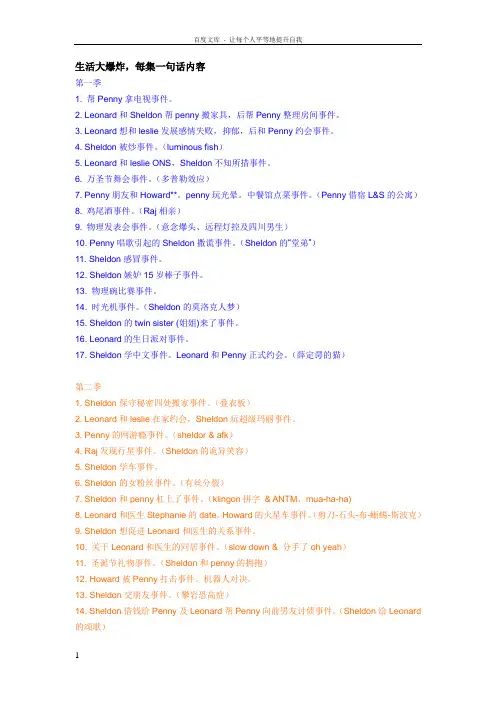 生活大爆炸每集一句话内容