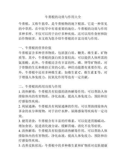 牛蒡根的功效与作用大全