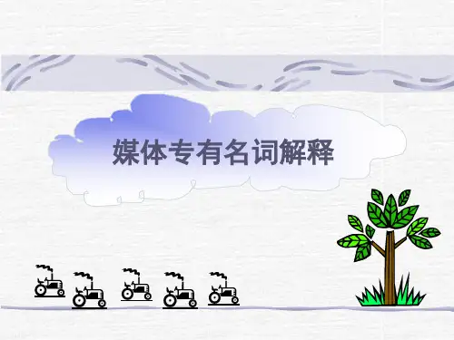 媒体名词解释大全