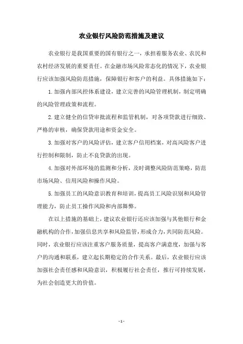 农业银行风险防范措施及建议