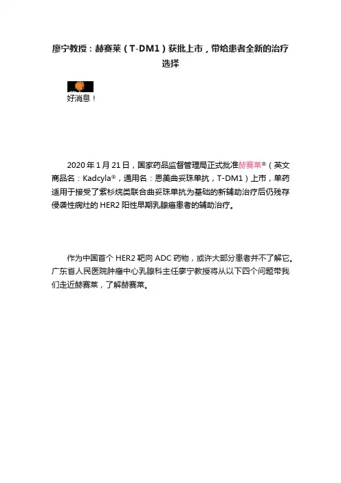 廖宁教授：赫赛莱（T-DM1）获批上市，带给患者全新的治疗选择