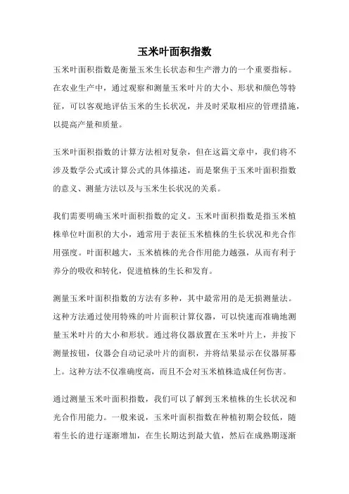 玉米叶面积指数