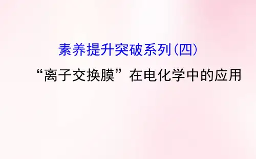 “离子交换膜”在电化学中的应用课件