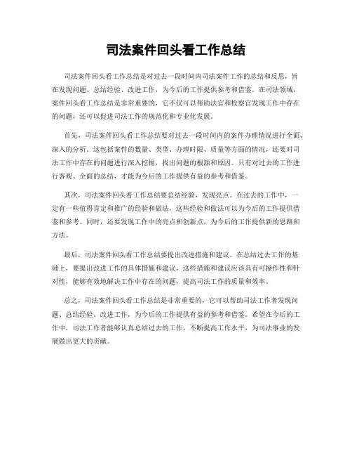 司法案件回头看工作总结