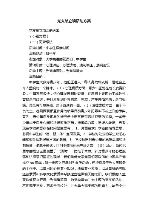党支部立项活动方案