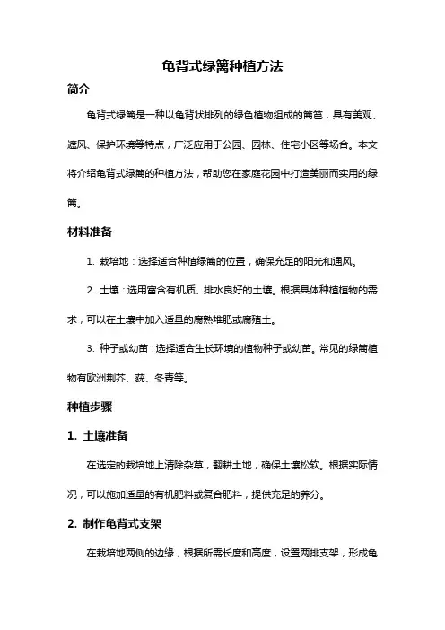 龟背式绿篱种植方法