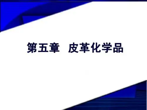 5+第五章+皮革化学品