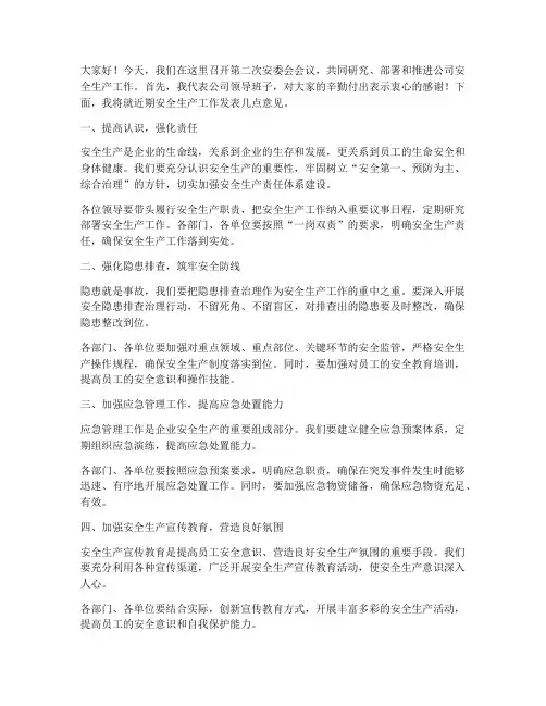 第二次安委会领导发言稿