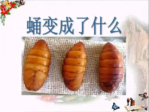 蛹变成了什么-动物的生命周期 优秀PPT课件