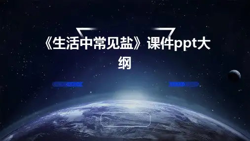 《生活中常见盐》课件PPT课件