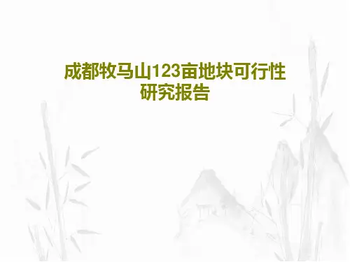 成都牧马山123亩地块可行性研究报告22页PPT