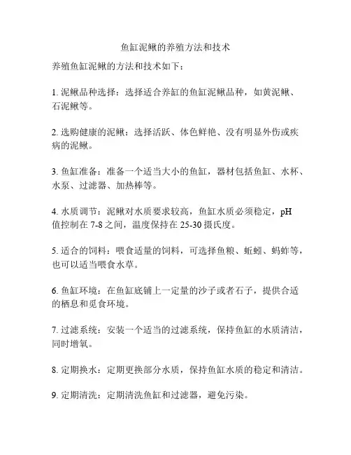 鱼缸泥鳅的养殖方法和技术