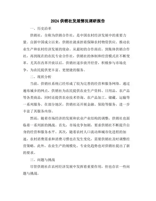 2024供销社发展情况调研报告