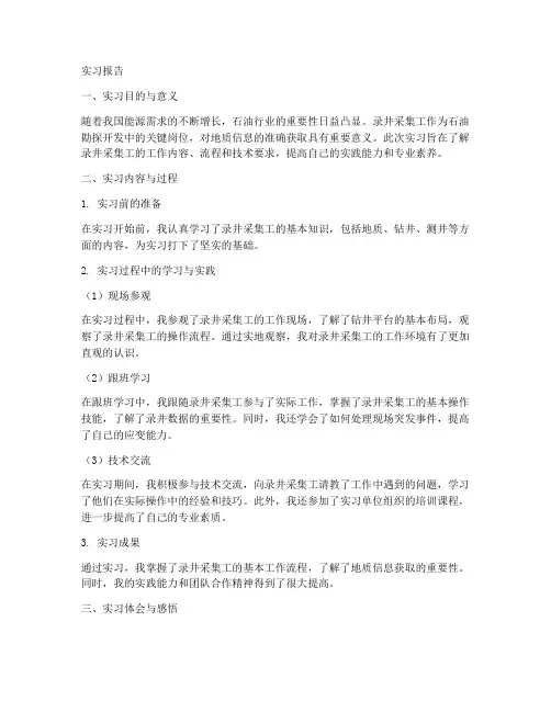 录井采集工实习报告